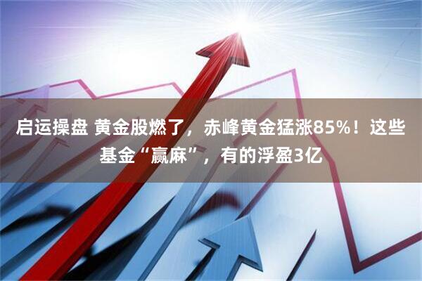 启运操盘 黄金股燃了，赤峰黄金猛涨85%！这些基金“赢麻”，有的浮盈3亿