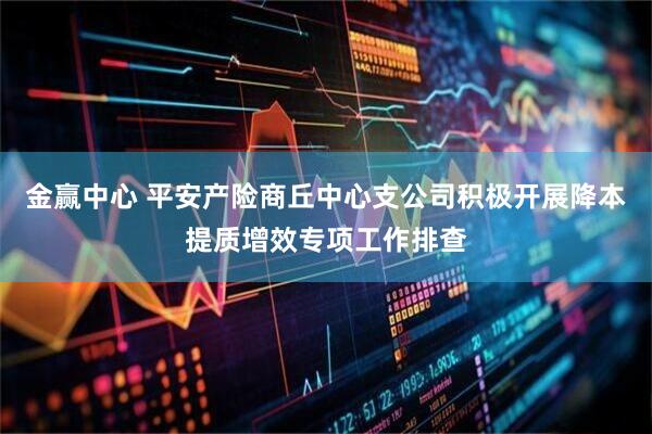 金赢中心 平安产险商丘中心支公司积极开展降本提质增效专项工作排查