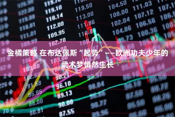 金橘策略 在布达佩斯“起势”——欧洲功夫少年的武术梦悄然生长